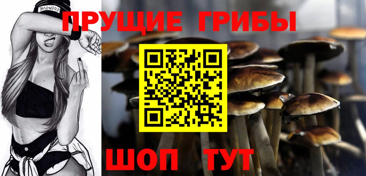 Псилоцибиновые грибы Cubensis  Вход с VPN  Москва 